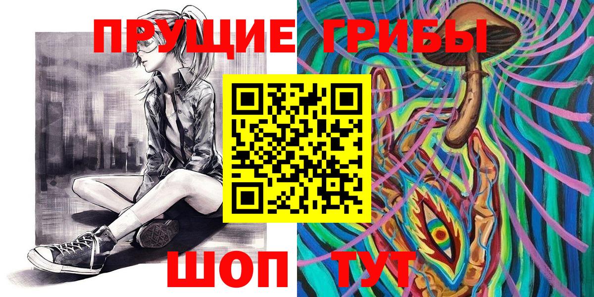 Псилоцибиновые грибы Psilocybe Каменск-Уральский